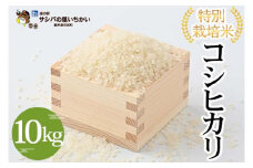 特別栽培米〈コシヒカリ〉10kg ※離島への配送不可 ≪米 お米 白米 ご飯 栃木県産≫