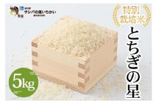 特別栽培米〈とちぎの星〉5kg　※離島への配送不可 ≪米 お米 白米 ご飯 栃木県産≫
