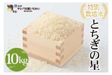 特別栽培米〈とちぎの星〉10kg ※離島への配送不可 ≪米 お米 白米 ご飯 栃木県産≫