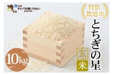 特別栽培米　玄米〈とちぎの星〉10kg  ※離島への配送不可 ≪米 お米 白米 ご飯 栃木県産≫