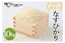 市貝町産 特別栽培米〈なすひかり〉10kg ｜ 国産 栃木県産米 お米 特別栽培米 精米 白米 栃木米 とちぎ米 ※離島への配送不可