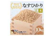 市貝町産 特別栽培米〈なすひかり〉玄米10kg ｜ 国産 栃木県産米 お米 特別栽培米 栃木米 とちぎ米 ※離島への配送不可