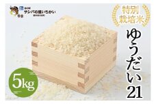 市貝町産 特別栽培米〈ゆうだい21〉5kg ｜ 国産 栃木県産米 お米 特別栽培米 精米 白米 栃木米 とちぎ米 ※離島への配送不可