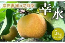 【先行予約】岸田農園の完熟梨 幸水【5kg,8-20玉入り】 | 梨 なし 果物 フルーツ 完熟 ジューシー 秋 旬 産地直送 期間限定 季節限定 季節商品 送料無料 国産 栃木県 芳賀町 ※2025年8月上旬～8月下旬頃に順次発送予定