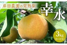 【先行予約】岸田農園の完熟梨 幸水【3kg,5-12玉入り】 | 梨 なし 果物 フルーツ 完熟 ジューシー 秋 旬 産地直送 期間限定 季節限定 季節商品 送料無料 国産 栃木県 芳賀町 ※2025年8月上旬～8月下旬頃に順次発送予定