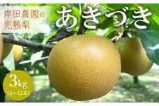 【先行予約】岸田農園の完熟梨 あきづき【3kg,5-12玉入り】 | 梨 なし 秋月 果物 フルーツ 完熟 ジューシー 秋 旬 産地直送 期間限定 季節限定 季節商品 送料無料 国産 栃木県 芳賀町 ※2025年9月中旬～9月下旬頃に順次発送予定