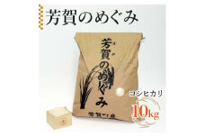 令和6年産「芳賀のめぐみ」コシヒカリ　10kg 袋入り　栃木県芳賀町産 ｜ 米 お米 ご飯 国産 送料無料
※離島への配送不可