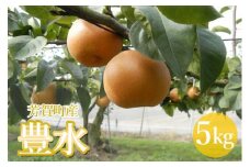 「豊水」梨　５kg箱　栃木県芳賀町産 ｜ なし ナシ フルーツ 果物 送料無料 ※離島への配送不可 ※2022年9月上旬～中旬頃に順次発送予定