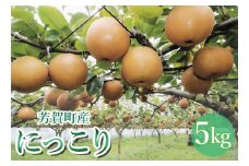 【先行予約】「にっこり」 梨 5kg 箱 6～8玉 栃木県 芳賀町産 | 梨 なし 果物 フルーツ 秋の味覚 産地直送 期間限定 季節限定 季節商品 送料無料 栃木県 芳賀町 ※離島への配送不可 ※2025年10月上旬～11月上旬頃に順次発送予定