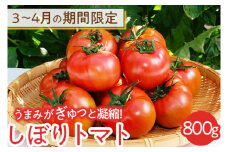 3～4月の期間限定　うまみがぎゅっと凝縮！しぼりトマト 800g
※着日指定不可
※2025年3月上旬～4月下旬頃に順次発送予定