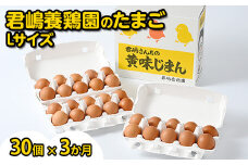 【3か月定期便】君嶋養鶏園のたまご Lサイズ 30個（27個＋割れ補償3個）×3ヶ月 計90個 | 定期便 3ヶ月 3か月 3ヵ月 卵 玉子 たまご 赤卵 赤たまご 生卵 国産 濃厚 鶏卵 コク 旨味