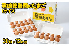 【12か月定期便】君嶋養鶏園のたまご Lサイズ 30個（27個＋割れ補償3個）×12ヶ月 計360個 | 定期便 12ヶ月 12か月 12ヵ月 卵 玉子 たまご 赤卵 赤たまご 生卵 国産 濃厚 鶏卵 コク 旨味