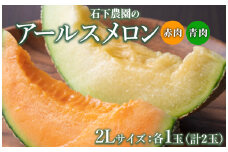 〈先行予約受付〉石下農園のアールスメロン〈赤肉・青肉〉 2Lサイズ 各1玉（計2玉） ｜ 果物 フルーツ メロン 国産 アールスメロン ギフト 贈答 赤肉 青肉
※着日指定不可
※離島への配送不可
※2025年9月下旬～11月上旬頃に順次発送予定