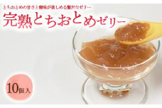 完熟とちおとめゼリー 1箱10個入【芳賀一笑】| 苺 いちご ゼリー なし フルーツ 果物 ギフト 贈答◇