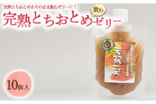 完熟とちおとめ飲むゼリー 1箱10個入【芳賀一笑】| 苺 いちご ゼリー なし フルーツ 果物 ギフト 贈答◇