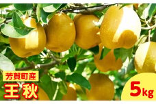 【先行予約】栃木県芳賀町産「王秋」約5kg | 梨 なし 果物 フルーツ 秋の味覚 産地直送 期間限定 季節限定 季節商品 送料無料 栃木県 芳賀町 ※2025年10月下旬～11月中旬頃に順次発送予定 ※離島への配送不可◇