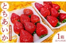 【先行予約】「とちあいか」イチゴ 1箱2パック入り 栃木県産 【栃木県共通返礼品】※2026年2月上旬～2月下旬頃に順次発送予定 ※北海道・沖縄・離島への配送不可 | いちご 苺