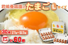 【2か月定期便】君嶋養鶏園のたまご Lサイズ 30個（27個＋割れ補償3個）×2ヶ月 計60個 | 定期便 2ヶ月 2か月 2ヵ月 卵 玉子 たまご 赤卵 赤たまご 生卵 国産 濃厚 鶏卵 コク 旨味