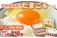 【7か月定期便】君嶋養鶏園のたまご Lサイズ 30個（27個＋割れ補償3個）×7ヶ月 計210個 | 定期便 7ヶ月 7か月 7ヵ月 卵 玉子 たまご 赤卵 赤たまご 生卵 国産 濃厚 鶏卵 コク 旨味
