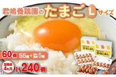 【4か月定期便】君嶋養鶏園のたまご Lサイズ 60個（55個＋割れ補償5個）×4ヶ月 計240個 | 定期便 4ヶ月 4か月 4ヵ月 卵 玉子 たまご 赤卵 赤たまご 生卵 国産 濃厚 鶏卵 コク 旨味