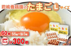 【5か月定期便】君嶋養鶏園のたまご Lサイズ 60個（55個＋割れ補償5個）×5ヶ月 計300個 | 定期便 5ヶ月 5か月 5ヵ月 卵 玉子 たまご 赤卵 赤たまご 生卵 国産 濃厚 鶏卵 コク 旨味