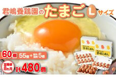 【8か月定期便】君嶋養鶏園のたまご Lサイズ 60個（55個＋割れ補償5個）×8ヶ月 計480個 | 定期便 8ヶ月 8か月 8ヵ月 卵 玉子 たまご 赤卵 赤たまご 生卵 国産 濃厚 鶏卵 コク 旨味