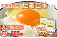 【10か月定期便】君嶋養鶏園のたまご Lサイズ 60個（55個＋割れ補償5個）×10ヶ月 計600個 | 定期便 10ヶ月 10か月 10ヵ月 卵 玉子 たまご 赤卵 赤たまご 生卵 国産 濃厚 鶏卵 コク 旨味