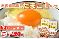 【7か月定期便】君嶋養鶏園のたまご Lサイズ 60個（55個＋割れ補償5個）×7ヶ月 計420個 | 定期便 7ヶ月 7か月 7ヵ月 卵 玉子 たまご 赤卵 赤たまご 生卵 国産 濃厚 鶏卵 コク 旨味