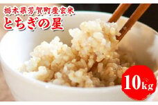 【先行予約】令和7年度産 とちぎの星10kg 栃木県芳賀町産玄米 | 米 お米 玄米 令和7年産 新米 とちぎの星 国産 単一米 期間限定 季節限定※2025年9月中旬～10月下旬頃に順次発送予定