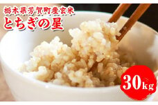 【先行予約】令和7年度産 とちぎの星30kg 栃木県芳賀町産玄米 | 米 お米 玄米 令和7年産 新米 とちぎの星 国産 単一米 期間限定 季節限定※2025年9月中旬～10月下旬頃に順次発送予定