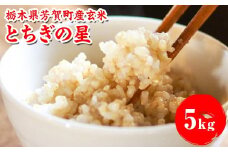 【先行予約】令和7年度産 とちぎの星5kg 栃木県芳賀町産玄米 | 米 お米 玄米 令和7年産 新米 とちぎの星 国産 単一米 期間限定 季節限定※2025年9月中旬～10月下旬頃に順次発送予定