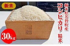 令和7年産新米 栃木県芳賀町産 コシヒカリ 精米 30kg｜米 お米 新米 白米 コメ こめ 国産 産地直送 旬 期間限定 季節限定 送料無料 ※2025年9月下旬頃～2026年1月下旬頃に順次発送予定