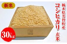令和7年産新米 栃木県芳賀町産 コシヒカリ 玄米 30kg｜米 お米 新米 コメ こめ 国産 産地直送 旬 期間限定 季節限定 送料無料 ※2025年9月下旬頃～2026年1月下旬頃に順次発送予定