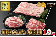 和豚もちぶた 高級部位焼き肉用 1.8kgセット (ロース・バラ・肩ロース) 豚肉 焼肉 国産 栃木県壬生町◇
