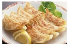 和豚もちぶた 手包み餃子 100個セット 餃子 冷凍 まとめ買い 栃木県壬生町◇