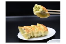 麺処暁商店　手づくりぎょうざ  ４０個セット