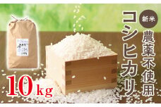 令和6年産 新米 無農薬「コシヒカリ」10kg お米 こしひかり 栃木県壬生町