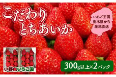 栃木県産 こだわり とちあいか【300g以上×2パック】| 家庭用 完熟 朝摘み 苺 いちご イチゴ とちあいか 果物 フルーツ 秀品 贈答 栃木県 壬生町 産地直送 ※2025年12月中旬頃より順次発送予定
