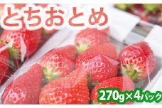 《先行受付》自然完熟！ 真っ赤でおいしい とちおとめ 約270g×４パック 果物 いちご 苺 イチゴ フルーツ くだもの もぎたて 栃木県 壬生町 ※2024年1月上旬頃より順次発送