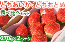 《先行受付》甘さ際立つ新品種 平積み とちあいか＆とちおとめ食べ比べセット 約270g×各2パック 果物 いちご 苺 イチゴ フルーツ くだもの もぎたて 栃木県 壬生町 ※2024年1月下旬頃より順次発送