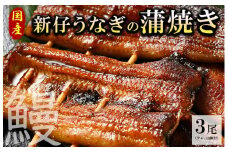 国産新仔うなぎの蒲焼き3尾（タレ、山椒付）うなぎ 鰻 ウナギ 土用 丑の日 冷凍 グルメ 真空パック
※着日指定不可◇