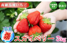 生産農家直送 高級品種☆無選別訳あり 冷凍 いちご 栃木県壬生町産スカイベリー3kg（500g×6）果物 フルーツ 苺 フレッシュ
