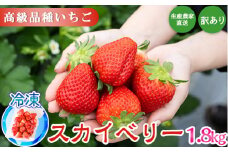 生産農家直送高級品種☆無選別訳あり 冷凍 いちご 栃木県壬生町産スカイベリー1.8kg（300g×6）果物 フルーツ 苺 フレッシュ