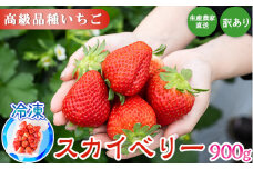 生産農家直送高級品種☆無選別訳あり 冷凍 いちご 栃木県壬生町産スカイベリー900g（300g×3）果物 フルーツ 苺 フレッシュ