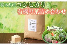 【限定20セット】農薬不使用栃木県産コシヒカリ令和6年産白米3kgと有機野菜6～7品セット 詰め合わせ やさい 採れたて お米 おこめ 有機JAS認証 ※北海道・沖縄・離島への配送不可