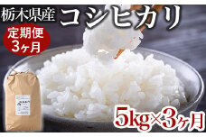 【限定15セット】【定期便3ヶ月】令和6年産お米5kg 農薬不使用 栃木県産コシヒカリ 白米 おこめ 米 国産