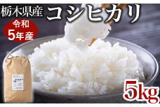 【限定15セット】令和5年産お米5kg 農薬不使用 栃木県産コシヒカリ 白米 おこめ 米 国産
※着日指定不可
※2023年9月中旬頃より順次発送予定