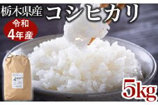 【限定35セット】令和4年産お米5kg 農薬不使用 栃木県産コシヒカリ 白米 おこめ 米 国産
※着日指定不可
