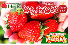 【訳あり】とちおとめ 320g×4パック 約1.2kg グランデサイズ　※2025年1月中旬頃より順次発送予定