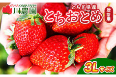 とちおとめ 320g×2パック 3Lサイズ  ｜ いちご 苺 イチゴ 贈答 フルーツ 果物 国産 平積み　※2026年1月中旬頃より順次発送予定